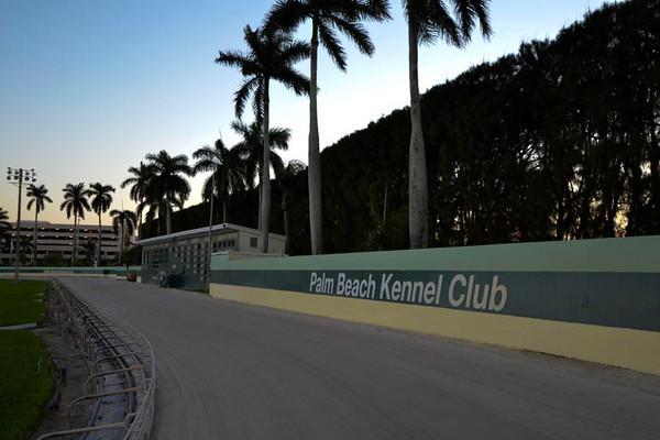 Article image for: DOWN THE STRETCH AT PALM BEACH KENNEL CLUB