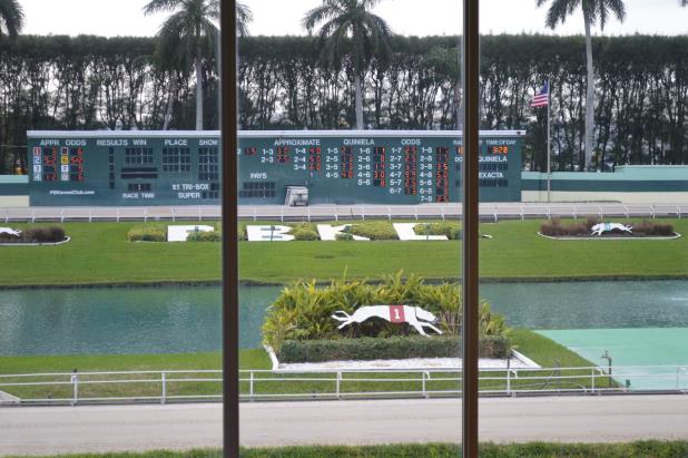 Article image for: PALM BEACH KENNEL CLUB CIRCUIT DAY 2 UPDATES